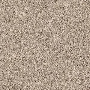Shaw Floors Carpet Abilene II Acreage 00176_5E822