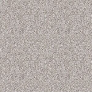 Shaw Floors Carpet Abilene II Whitewash 00177_5E822