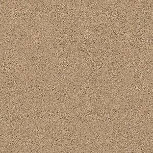 Shaw Floors Carpet Abilene II Bridle Leather 00270_5E822
