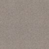 Shaw Floors Carpet Abilene II Pencil Sketch 00570_5E822
