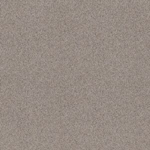 Shaw Floors Carpet Abilene II Pencil Sketch 00570_5E822