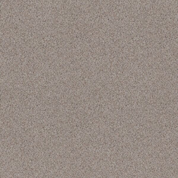 Shaw Floors Carpet Abilene II Pencil Sketch 00570_5E822
