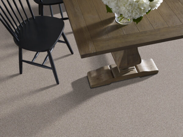 Shaw Floors Carpet Abilene II Pencil Sketch 00570_5E822 - Image 2