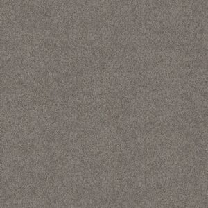 Shaw Floors Carpet Abilene II Powerful 00573_5E822