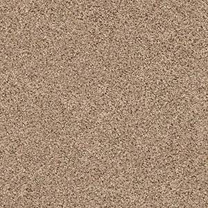 Shaw Floors Carpet Abilene II Arrowhead 00770_5E822