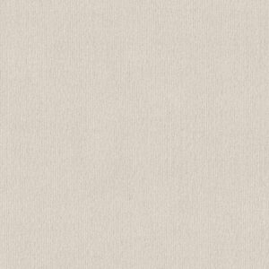 Shaw Floors Carpet Cedar City Crisp Linen 00172_5E823