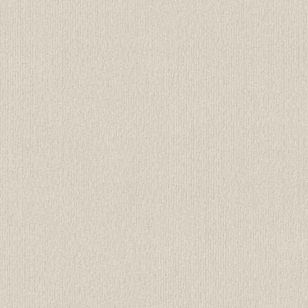 Shaw Floors Carpet Cedar City Crisp Linen 00172_5E823