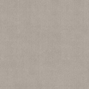 Shaw Floors Carpet Cedar City Quiet Moment 00175_5E823