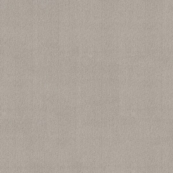 Shaw Floors Carpet Cedar City Quiet Moment 00175_5E823