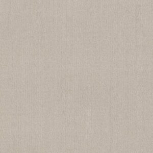 Shaw Floors Carpet Cedar City Alabaster 00176_5E823