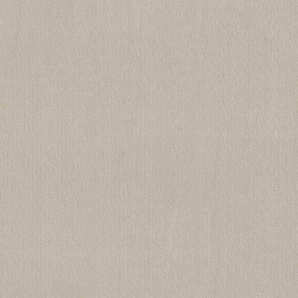 Shaw Floors Carpet Cedar City Alabaster 00176_5E823