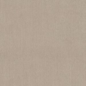 Shaw Floors Carpet Cedar City Passageway 00177_5E823
