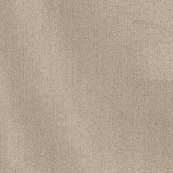 Shaw Floors Carpet Cedar City Passageway 00177_5E823