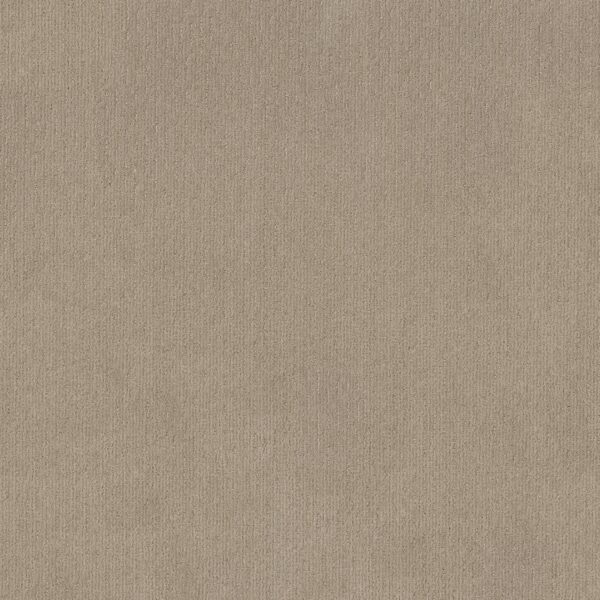 Shaw Floors Carpet Cedar City High Noon 00178_5E823