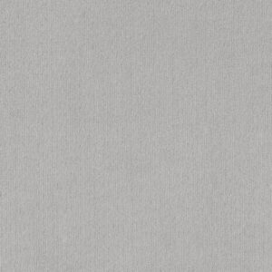 Shaw Floors Carpet Cedar City Classic Silver 00550_5E823