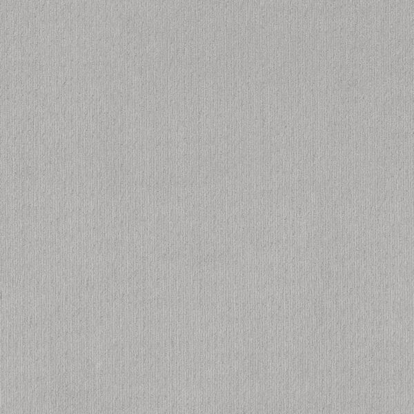 Shaw Floors Carpet Cedar City Classic Silver 00550_5E823