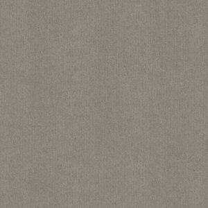 Shaw Floors Carpet Cedar City Antique Gray 00551_5E823