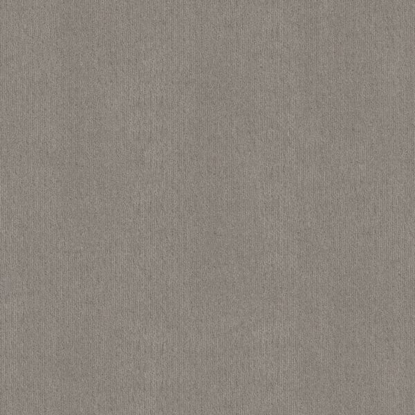 Shaw Floors Carpet Cedar City Antique Gray 00551_5E823