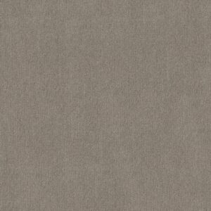 Shaw Floors Carpet Cedar City Silhouette 00573_5E823