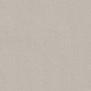 Shaw Floors Carpet Cedar City Rock Crystal 00574_5E823