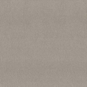 Shaw Floors Carpet Cedar City Etched Glass 00576_5E823