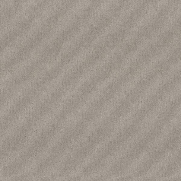 Shaw Floors Carpet Cedar City Etched Glass 00576_5E823