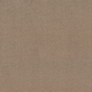 Shaw Floors Carpet Cedar City Leather 00750_5E823