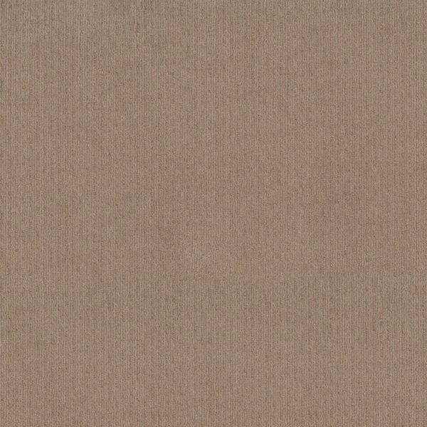 Shaw Floors Carpet Cedar City Leather 00750_5E823