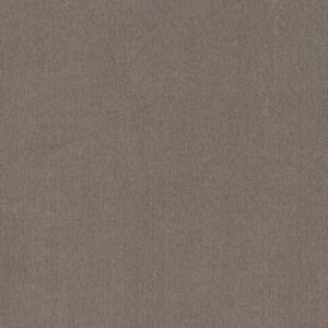 Shaw Floors Carpet Cedar City Arrowhead 00751_5E823
