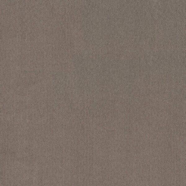 Shaw Floors Carpet Cedar City Arrowhead 00751_5E823