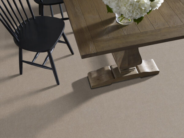 Shaw Floors Carpet Cedar City Park Avenue 00770_5E823 - Image 2