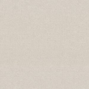 Shaw Floors Carpet Sierra Vista Crisp Linen 00172_5E824