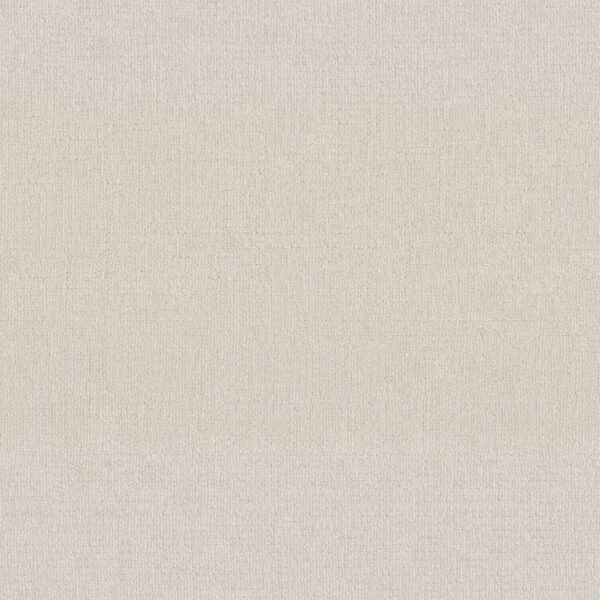Shaw Floors Carpet Sierra Vista Crisp Linen 00172_5E824