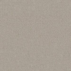 Shaw Floors Carpet Sierra Vista Quiet Moment 00175_5E824