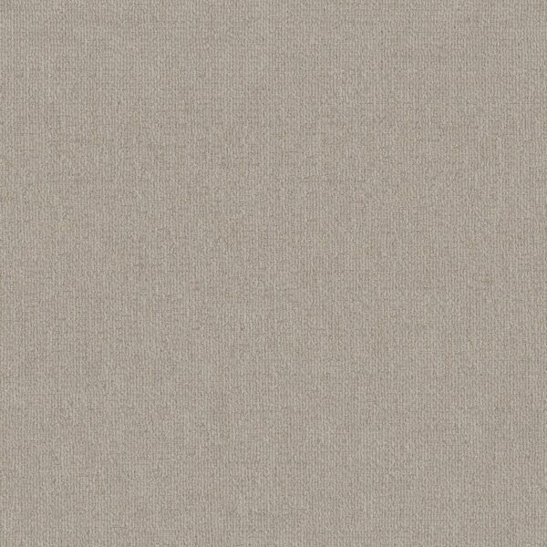 Shaw Floors Carpet Sierra Vista Quiet Moment 00175_5E824