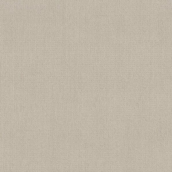 Shaw Floors Carpet Sierra Vista Alabaster 00176_5E824