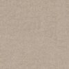 Shaw Floors Carpet Sierra Vista Passageway 00177_5E824