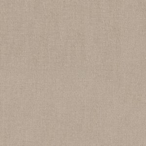 Shaw Floors Carpet Sierra Vista Passageway 00177_5E824