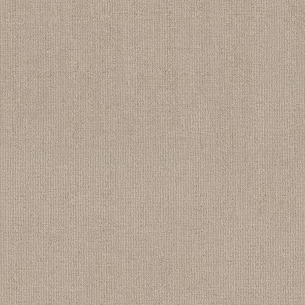 Shaw Floors Carpet Sierra Vista Passageway 00177_5E824