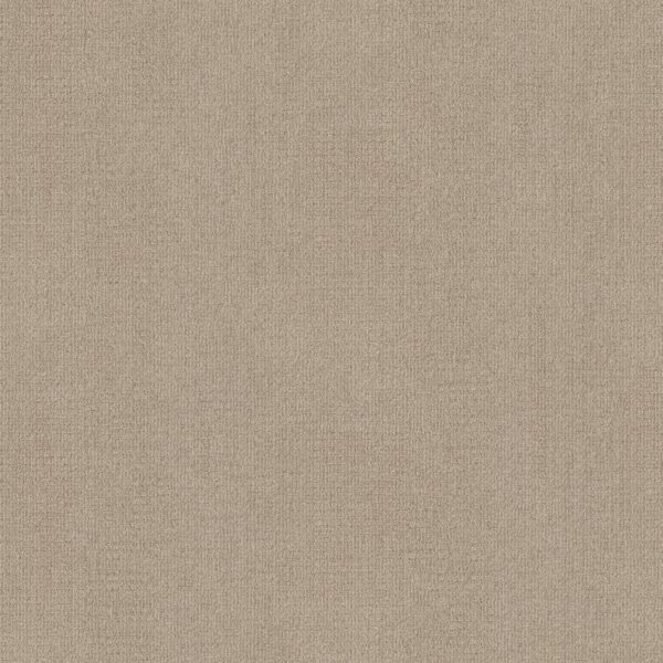 Shaw Floors Carpet Sierra Vista High Noon 00178_5E824