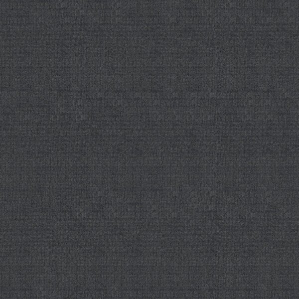 Shaw Floors Carpet Sierra Vista Indigo 00450_5E824