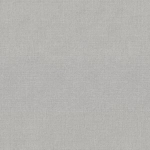 Shaw Floors Carpet Sierra Vista Classic Silver 00550_5E824