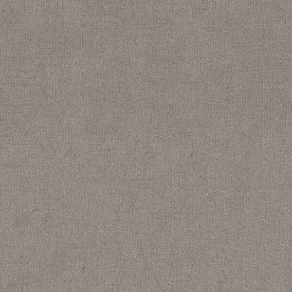 Shaw Floors Carpet Sierra Vista Antique Gray 00551_5E824