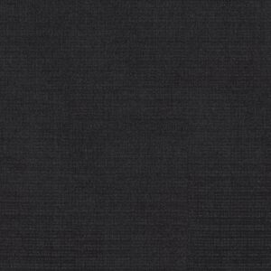 Shaw Floors Carpet Sierra Vista Blackout 00552_5E824