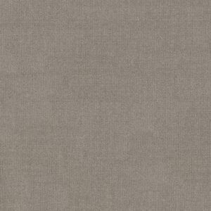 Shaw Floors Carpet Sierra Vista Silhouette 00573_5E824