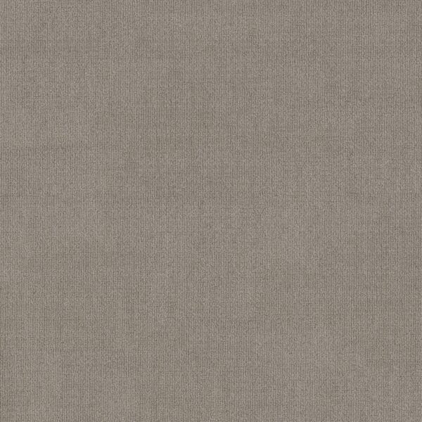 Shaw Floors Carpet Sierra Vista Silhouette 00573_5E824