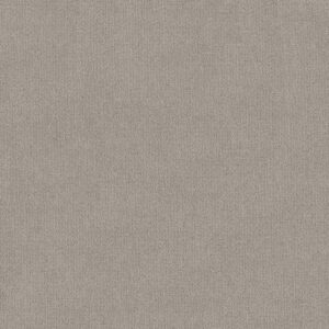 Shaw Floors Carpet Sierra Vista Etched Glass 00576_5E824