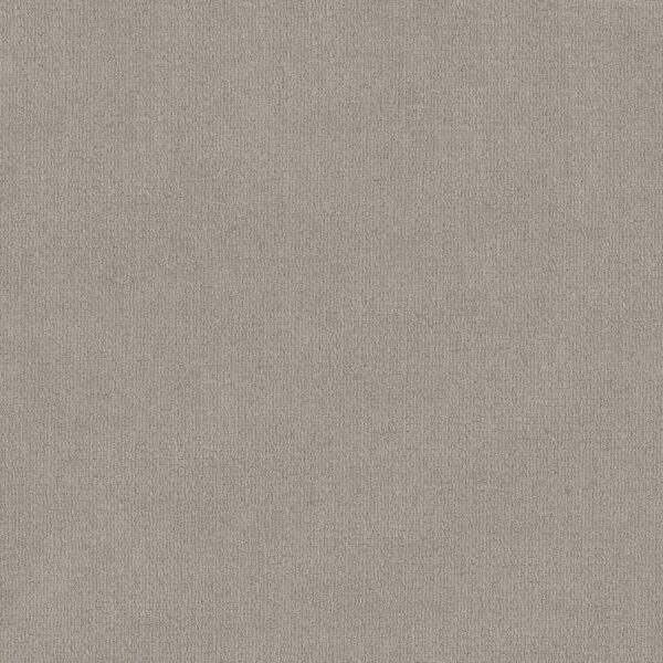 Shaw Floors Carpet Sierra Vista Etched Glass 00576_5E824