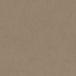 Shaw Floors Carpet Sierra Vista Leather 00750_5E824