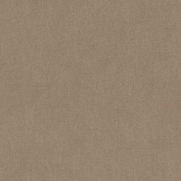 Shaw Floors Carpet Sierra Vista Leather 00750_5E824